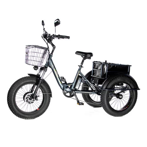 Электровелосипед трицикл E-Motions PANDA 750W
