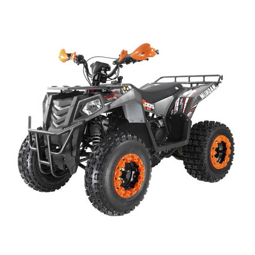 Купить квадроцикл Apollo Magnum 250cc 10 дюймов 1+1