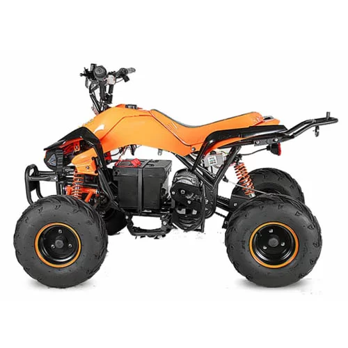 Детский квадроцикл Eco Speedy XXL 1000W