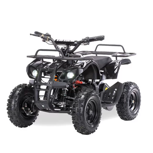 Купить электрический квадроцикл Motax Grizlik X-16 800W Квадроцикл электрический Motax Grizlik X-16 800W