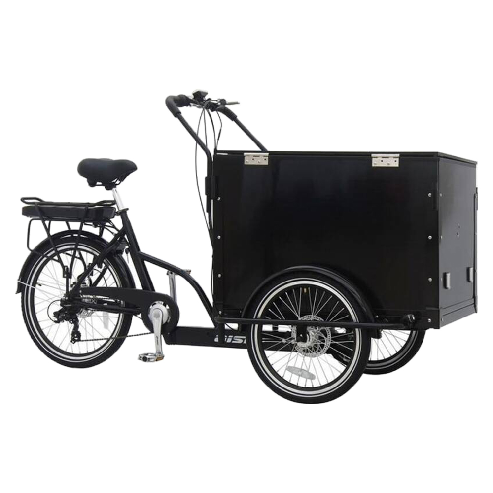 Купить электровелосипед Aist E-Cargo 250W Электровелосипед Aist E-Cargo 250W