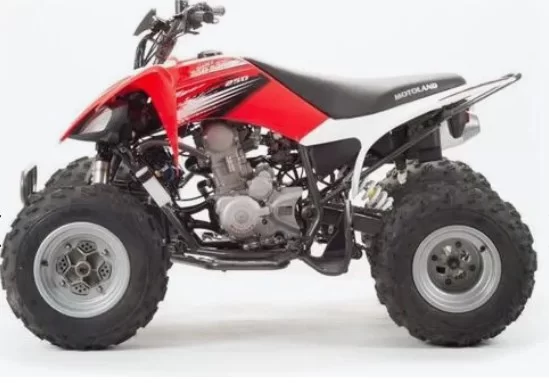 Квадроцикл Motoland 250 S 