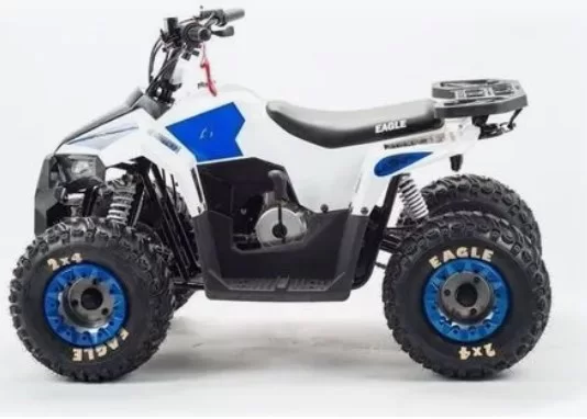 Квадроцикл Motoland Eagle 110 