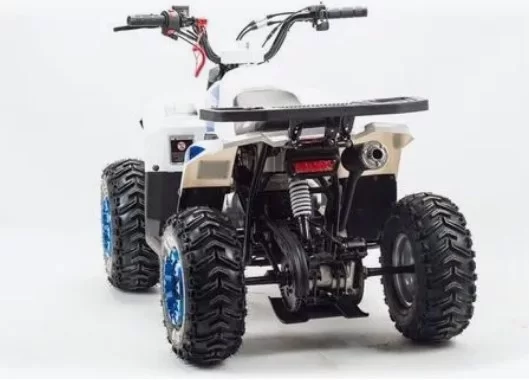 Квадроцикл Motoland Eagle 110 