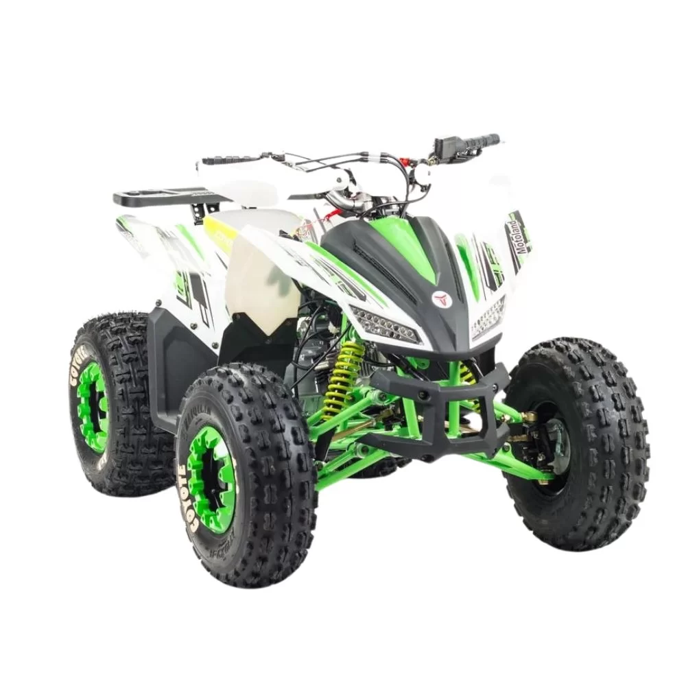 Комплект запчастей MotoLand Coyote 125cc
