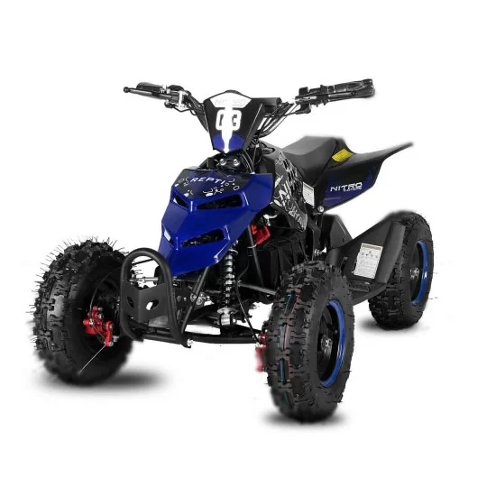 Купить квадроцикл с электродвигателем 800W ECO Repti 6 Miniquad Квадроцикл с электродвигателем 800W ECO Repti 6 Miniquad