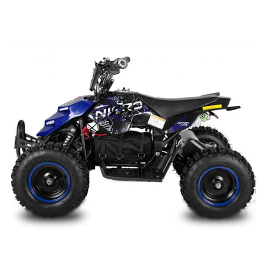 Купить квадроцикл с электродвигателем 800W ECO Repti 6 Miniquad Квадроцикл с электродвигателем 800W ECO Repti 6 Miniquad