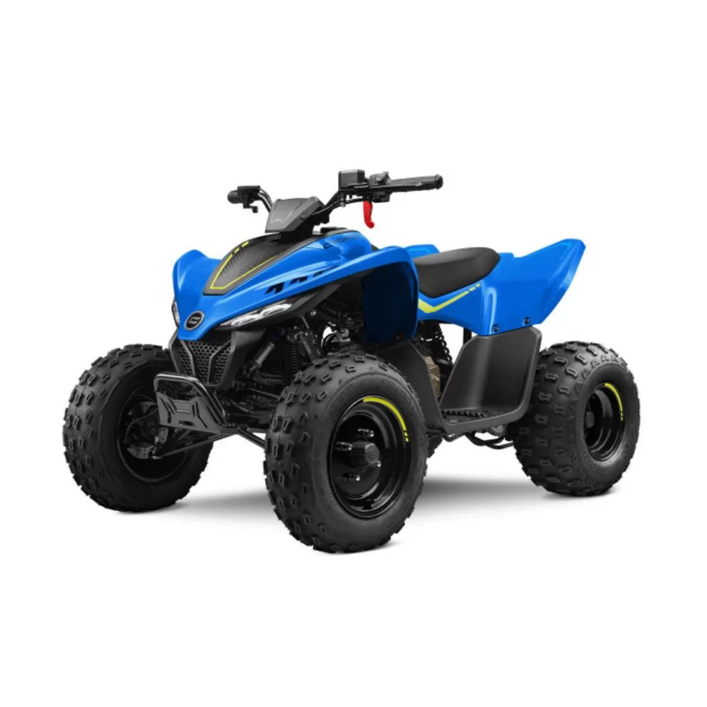 Квадроцикл CF Moto C-Force 110