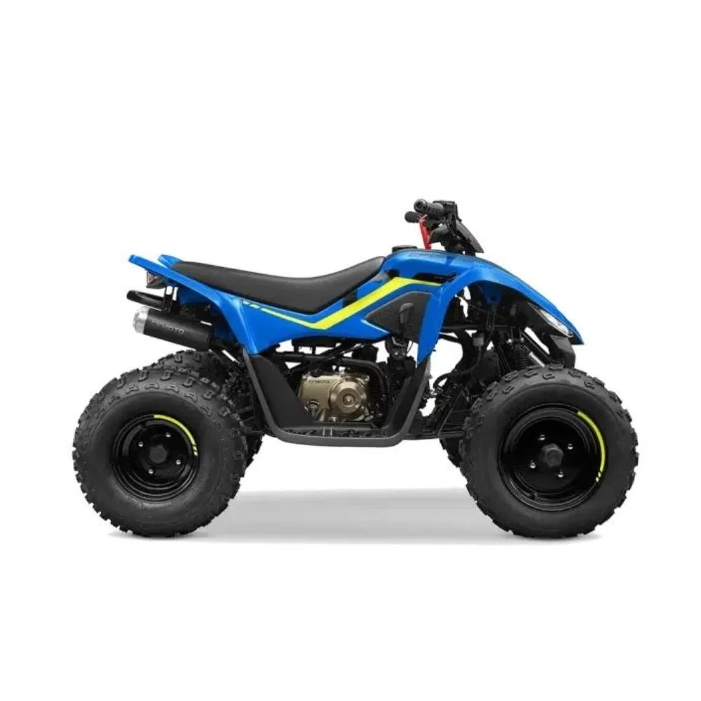 Купить квадроцикл CF Moto C-Force 110 Квадроцикл CF Moto C-Force 110