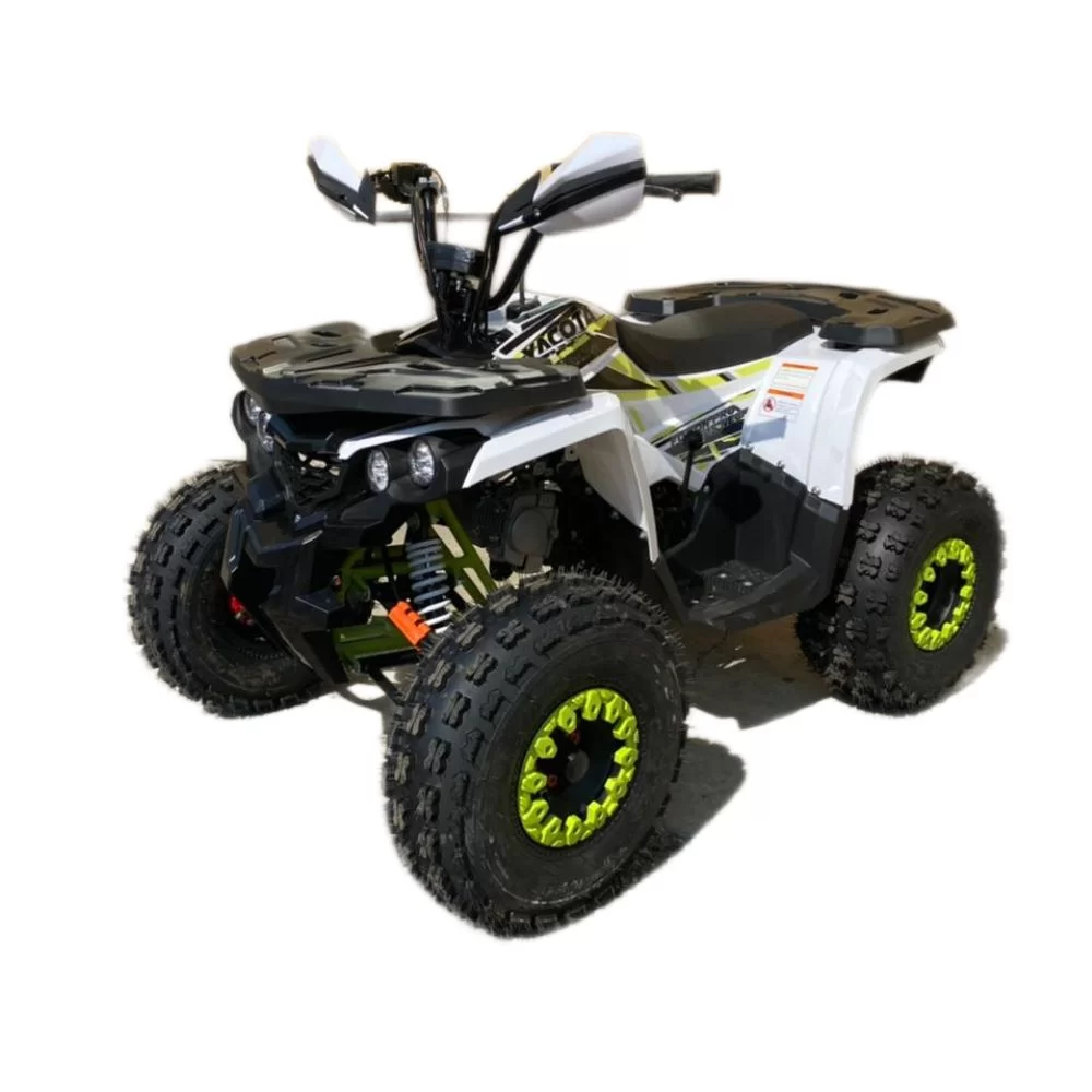 Квадроцикл YACOTA FUSION PRO 125 NEW (мотокомплект)