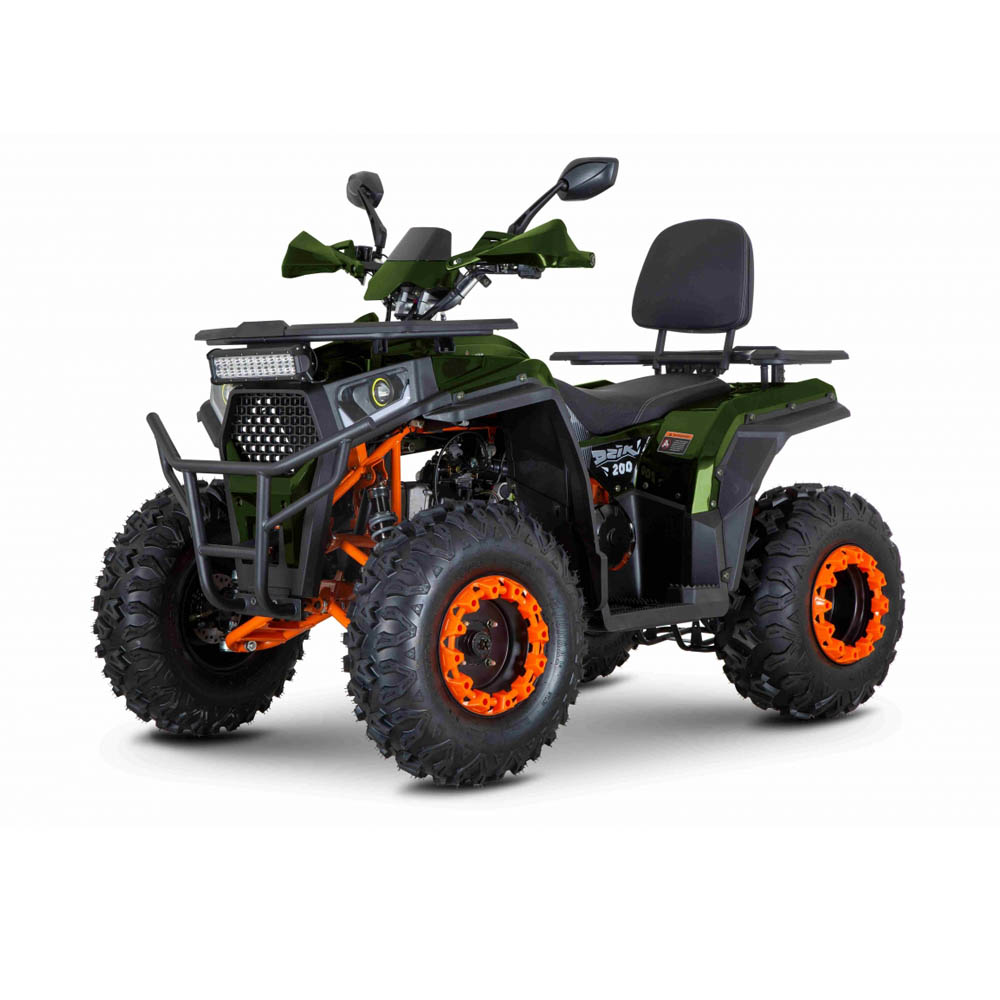 Квадроцикл M1nsk Dzik 200