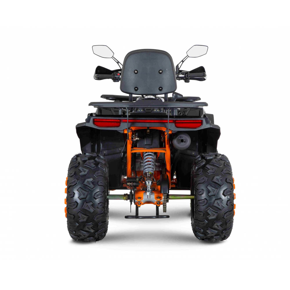 Квадроцикл M1nsk Dzik 200