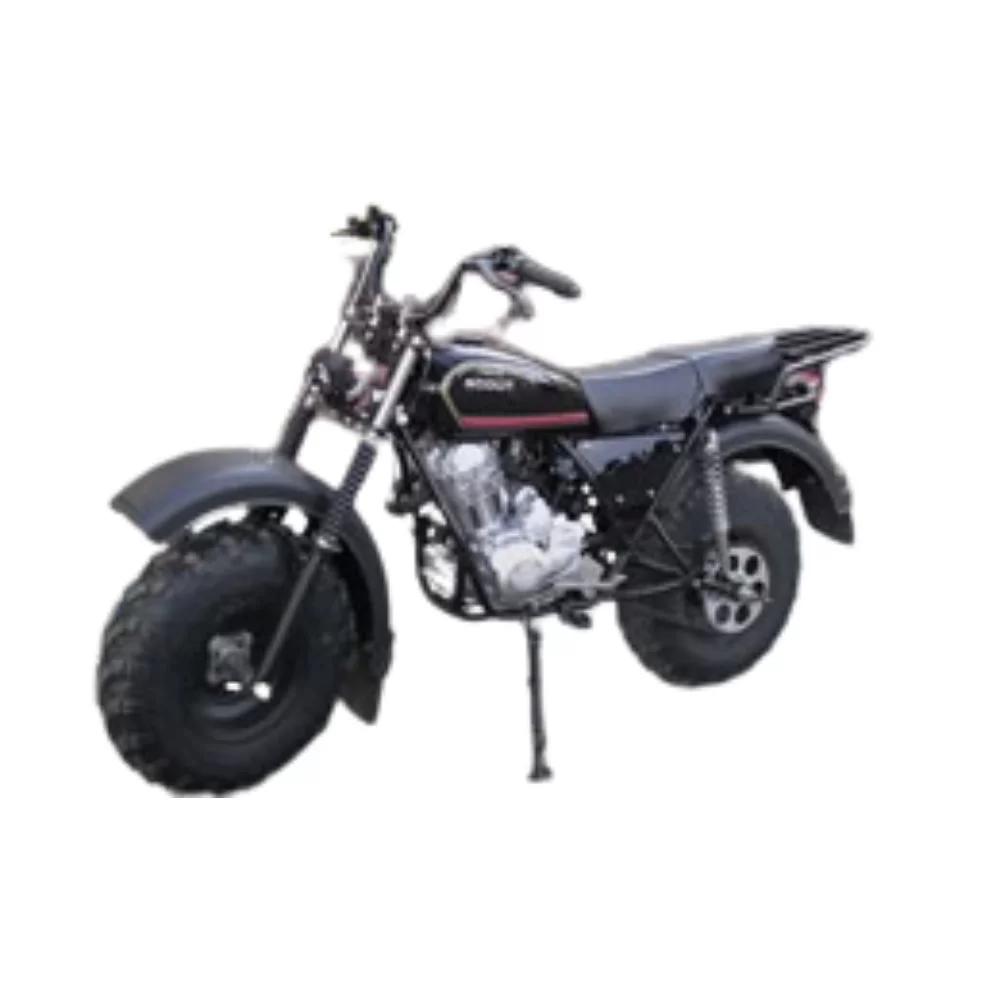 Мотоцикл внедорожный Ижимаж СКАУТ 3V 200 колеса 10"