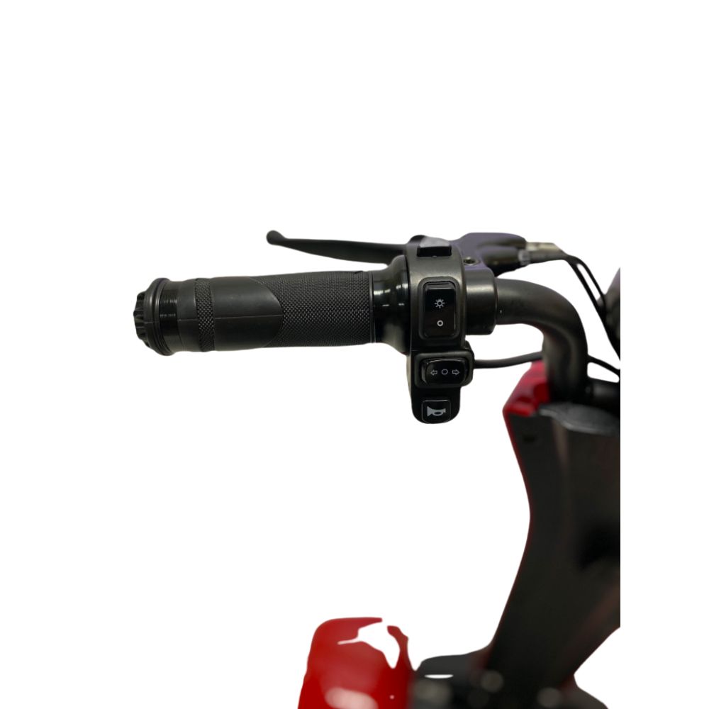 Трицикл GreenCamel Кольт 550 (36V 15Ah 2x250W) автомат