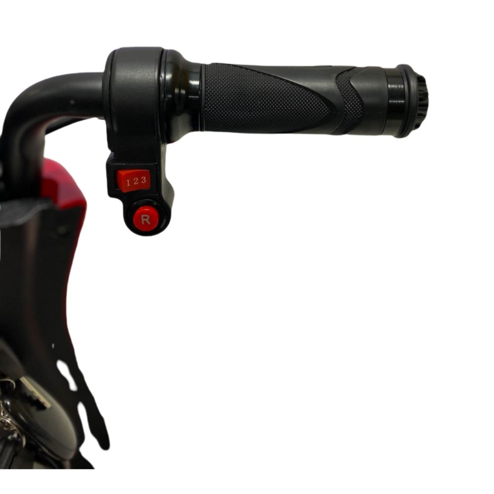 Трицикл GreenCamel Кольт 550 (36V 15Ah 2x250W) автомат