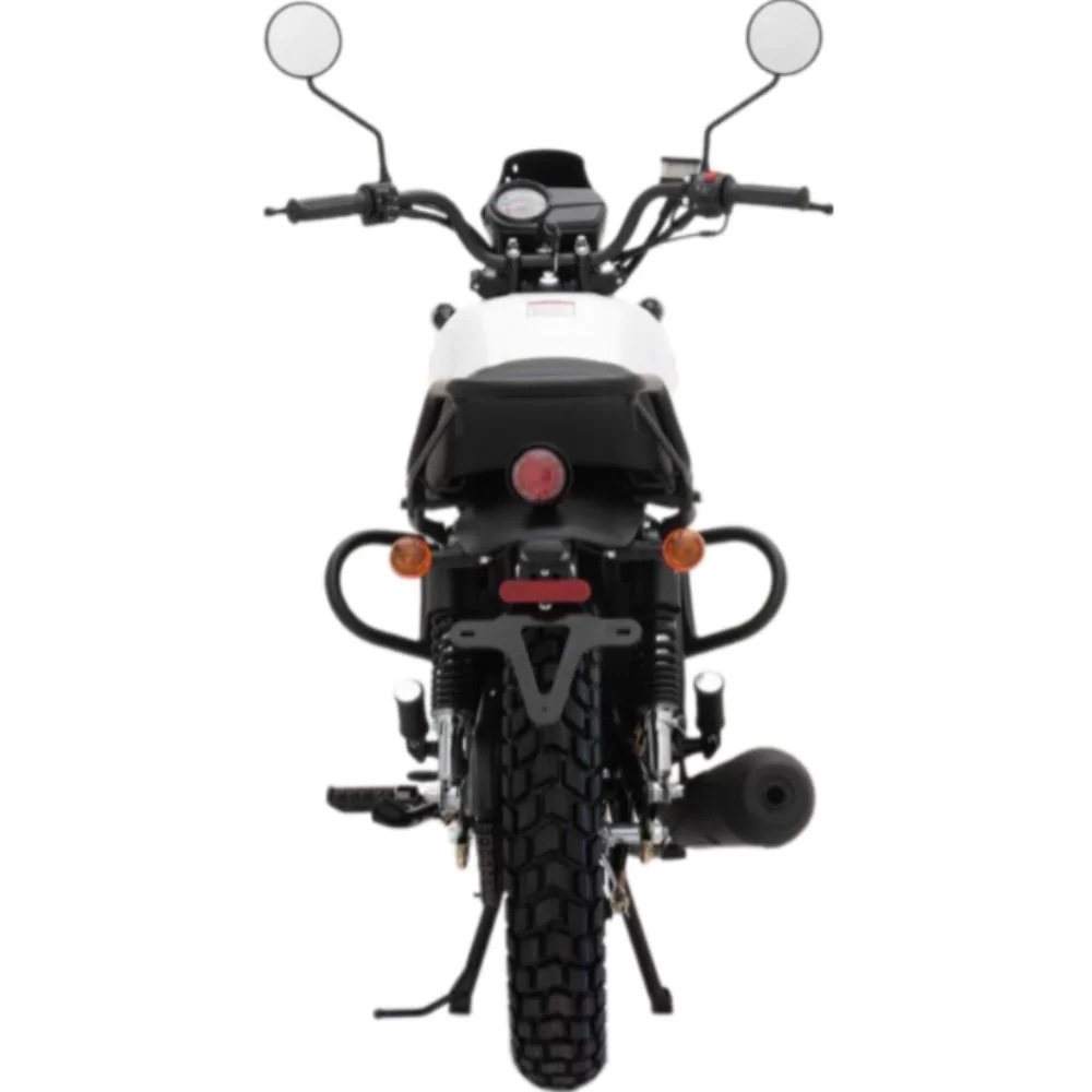 Купить мотоцикл Regulmoto Monster 200 Мотоцикл Regulmoto Monster 200