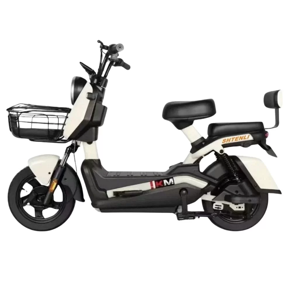 Электроскутер Shtenli Model 21 Performance Pro (аккумулятор 5шт 20Ач12В)