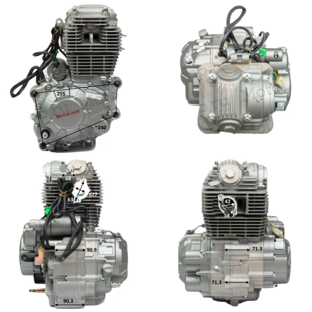 Двигатель 300см3 172FMM-3A (CB250-F+BB300 D-75мм) ZS грм цепь,5ск (полный комплект)