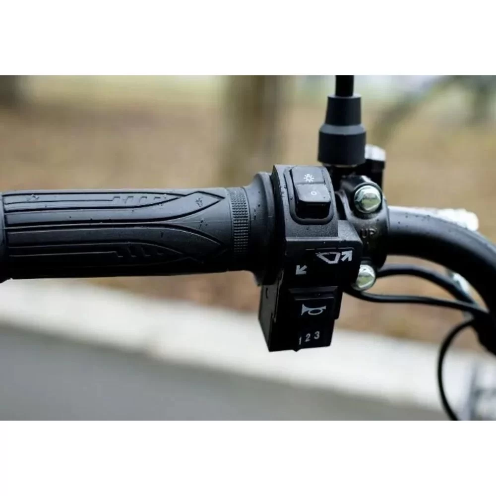 Купить электровелосипед AVM E-ALFA 20 Pro Электровелосипед AVM E-ALFA 20 Pro