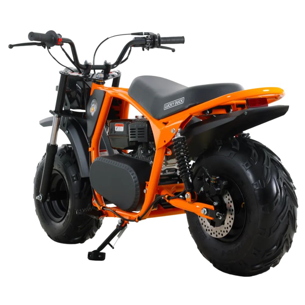 Купить минибайк Lucky Duck Ranger RB200 MAX Минибайк Lucky Duck Ranger RB200 MAX