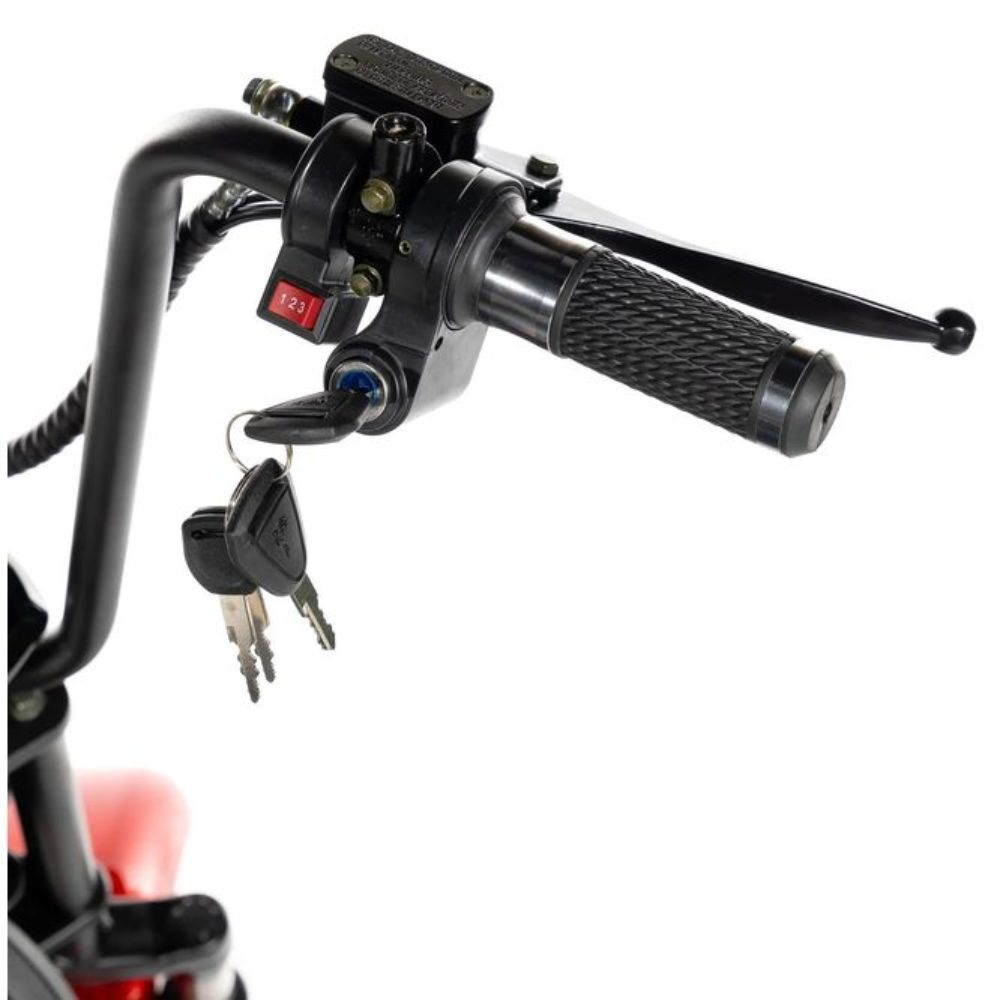 Купить электроскутер CityCoCo GT X5 TRIKE 1500W 15Ah48V Электроскутер CityCoCo GT X5 TRIKE 1500W 15Ah48V