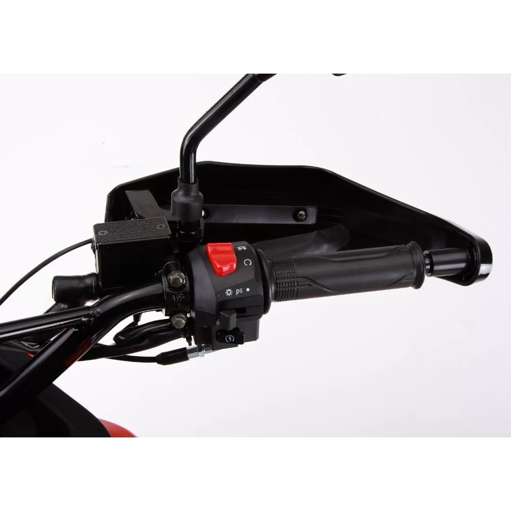 Купить мотоцикл Roliz (Ekonika) Sport-002 Мотоцикл Roliz (Ekonika) Sport-002