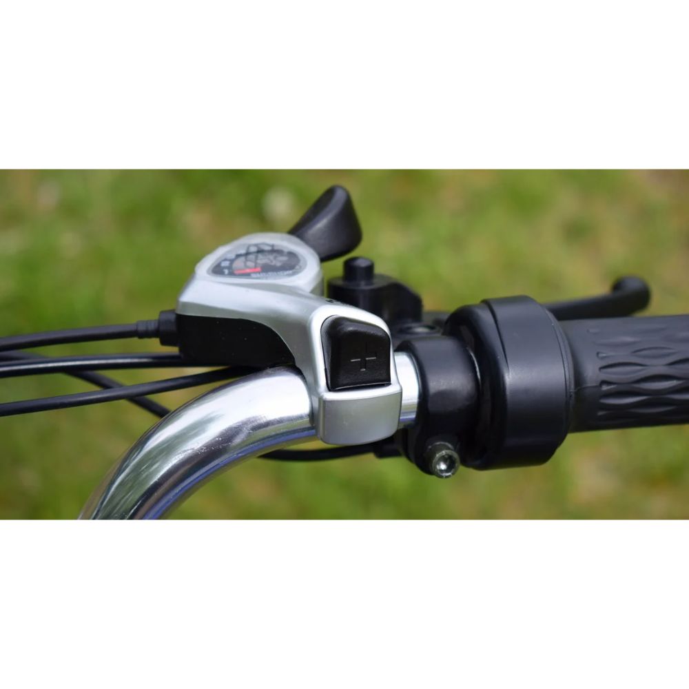 Электровелосипед трехколесный Terax NAROCH XD02