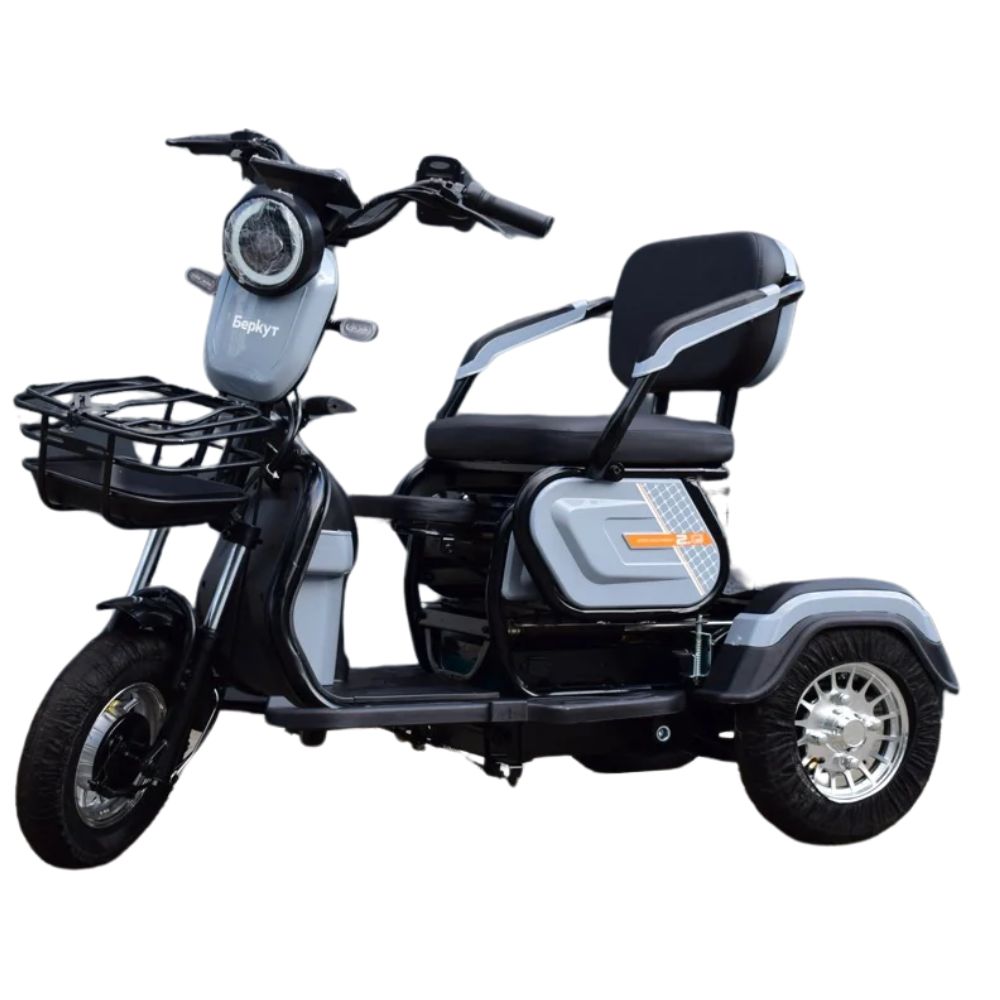 Купить электротрицикл Беркут Электротрицикл Беркут