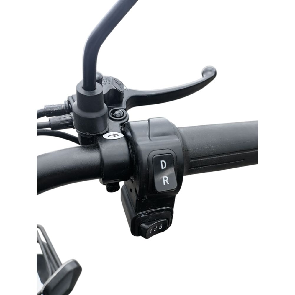 Электроскутер YAKAMA AP-H009-25