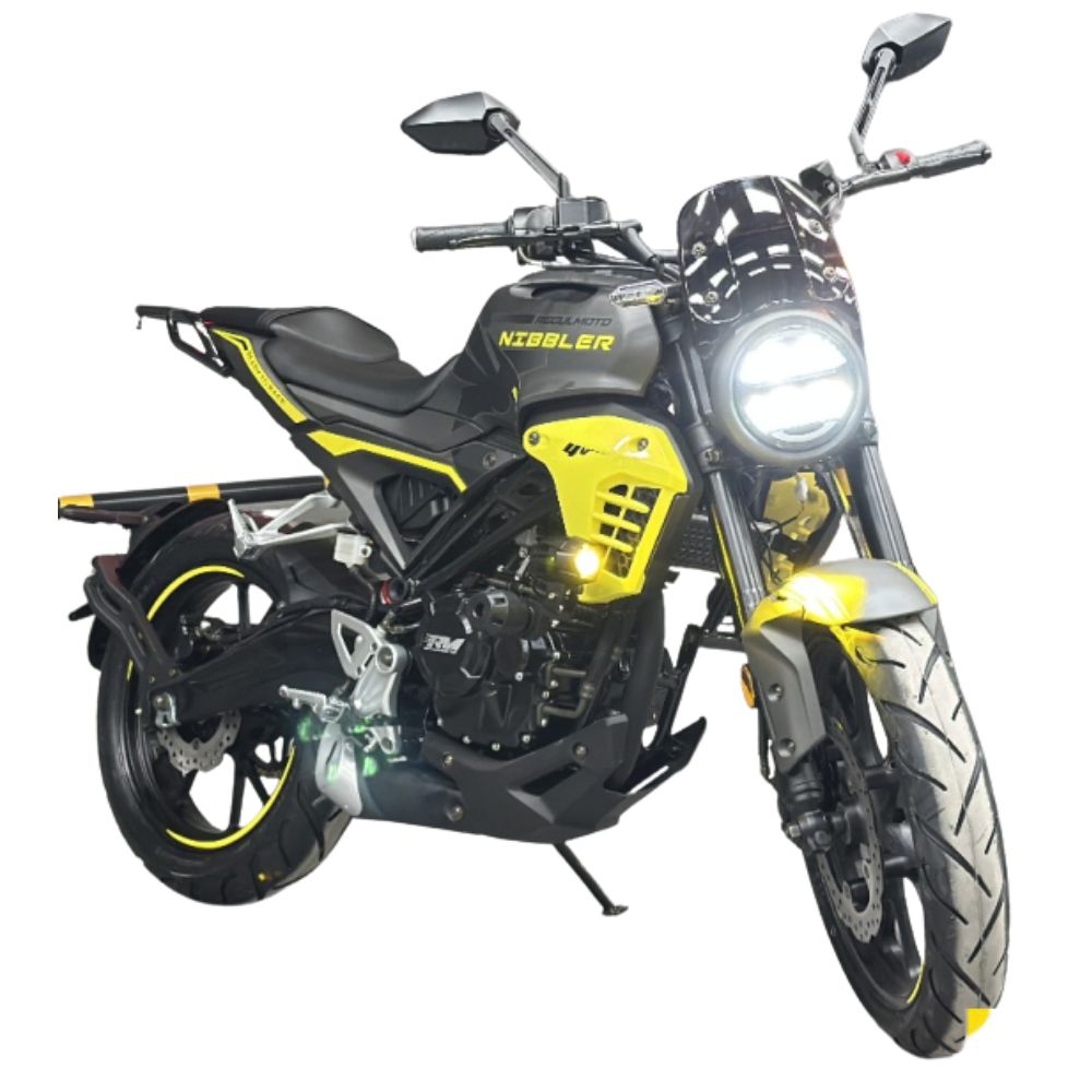 Мотоцикл Regulmoto Nibbler 300