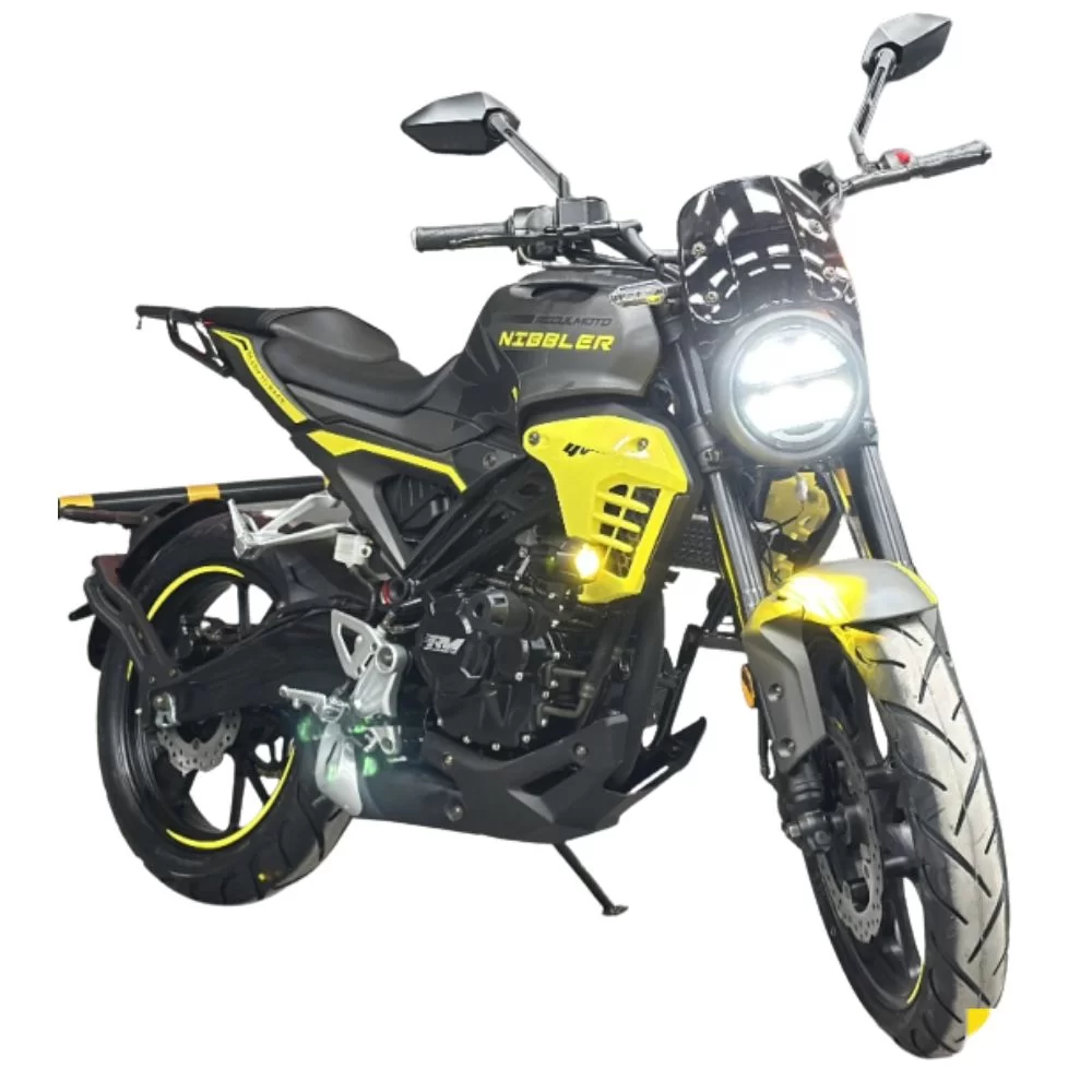 Мотоцикл Regulmoto Nibbler 300