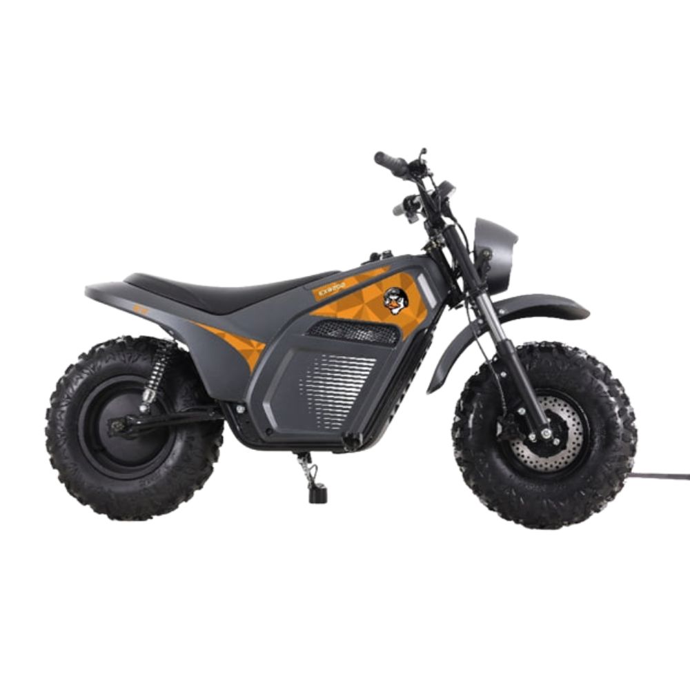 Купить Электрический минибайк Lucky Duck EXR200 Электрический минибайк Lucky Duck EXR200