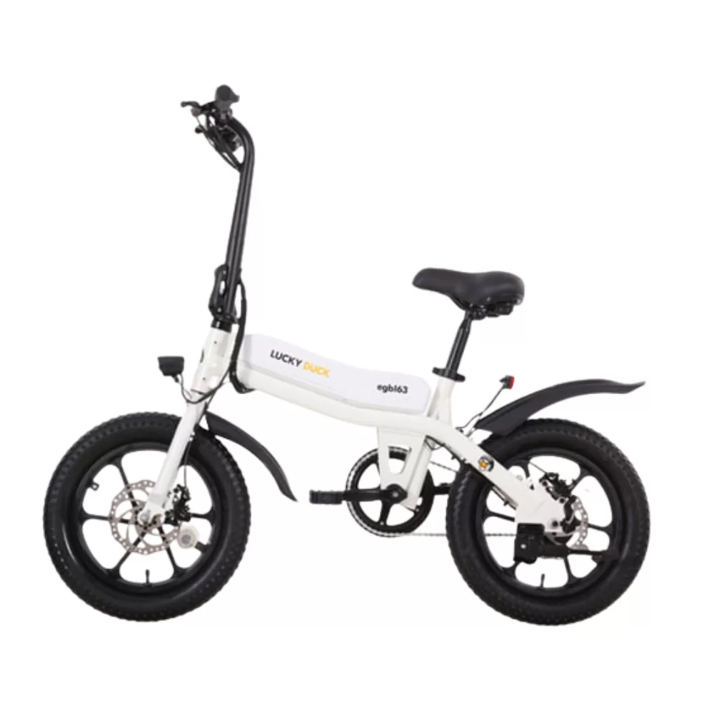 Электровелосипед городской Lucky Duck EGB163