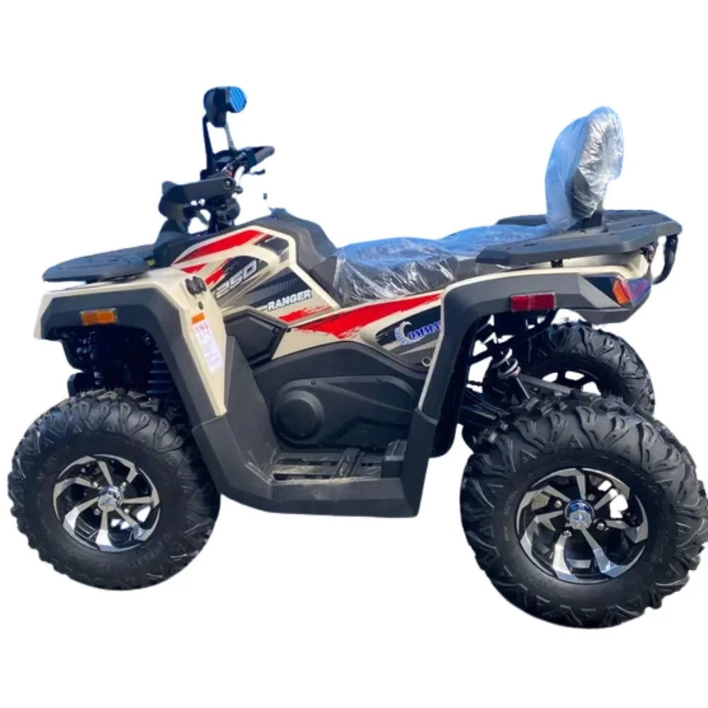 Купить квадроцикл Racer Ranger 250 (мотокомплект) Комплект запчастей Racer Ranger 250