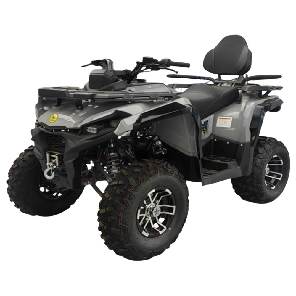 Квадроцикл ATV HAMMER 6 250L