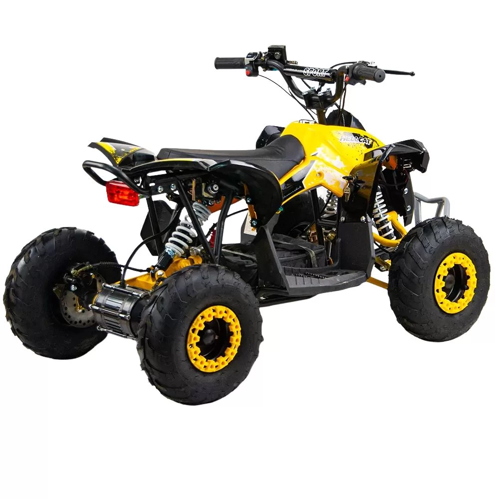 Электрический квадроцикл QMC Renegatre 48V 1200W shaftdrive