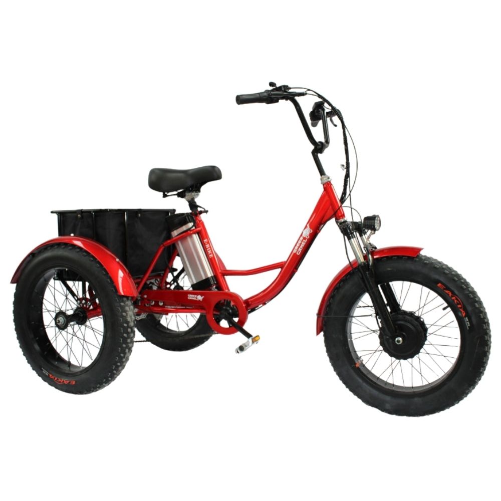 Купить электровелосипед GreenCamel Трайк-F20