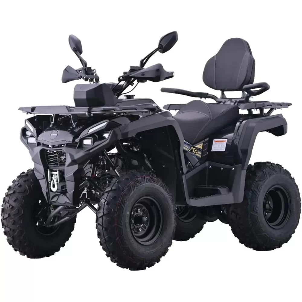 Купить квадроцикл AVM Adventure 250 NEW Квадроцикл AVM Adventure 250 NEW