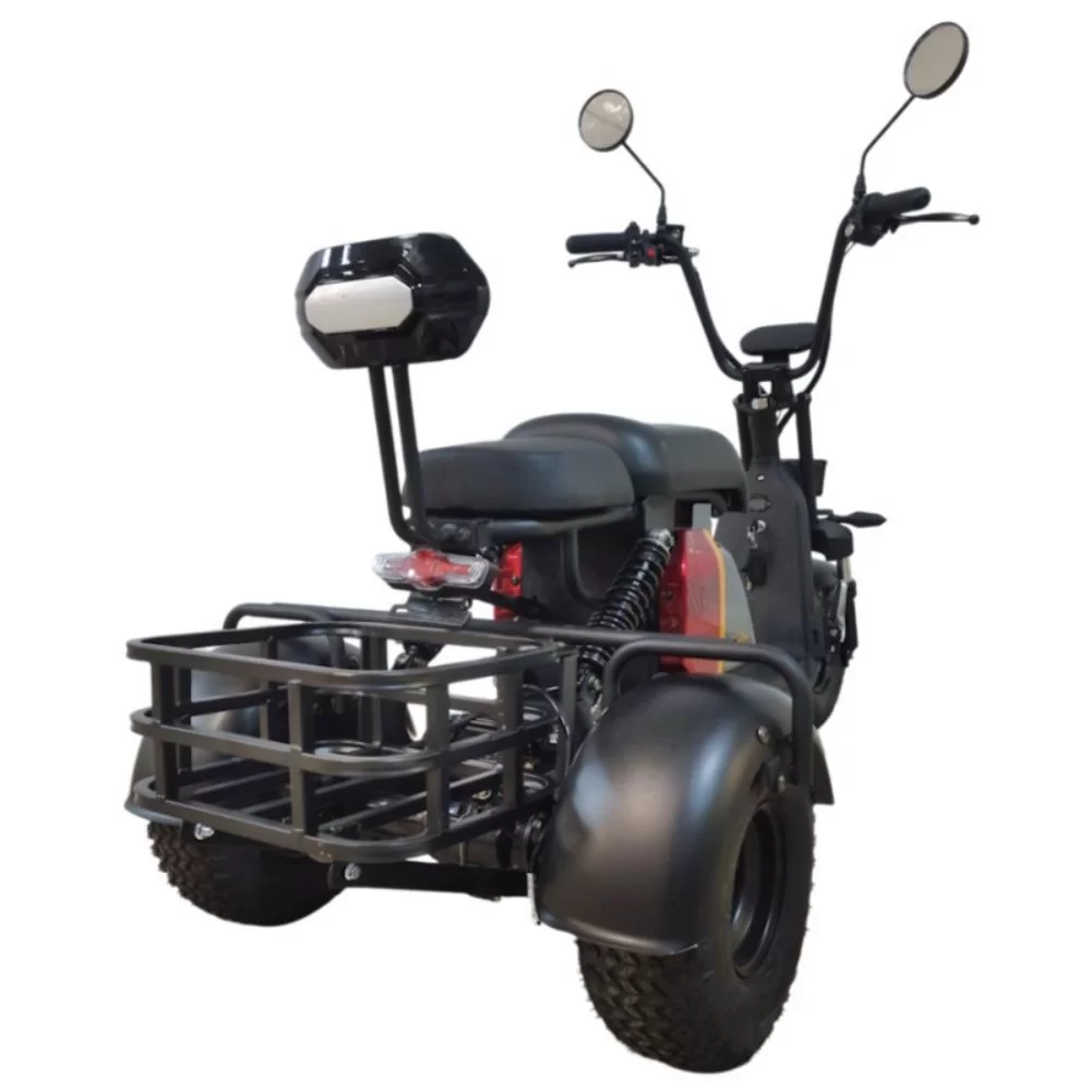 Электротрицикл CityCoco SMD S701 Minitrike New