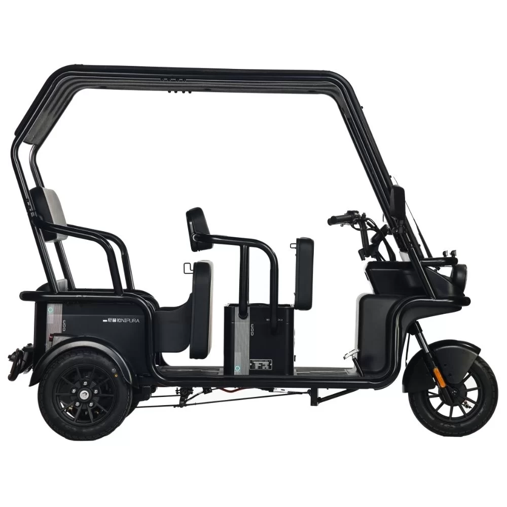 Купить электротрицикл Wanshida NIPLA 570 60V 1000Вт Электротрицикл Wanshida NIPLA 570 60V 1000Вт