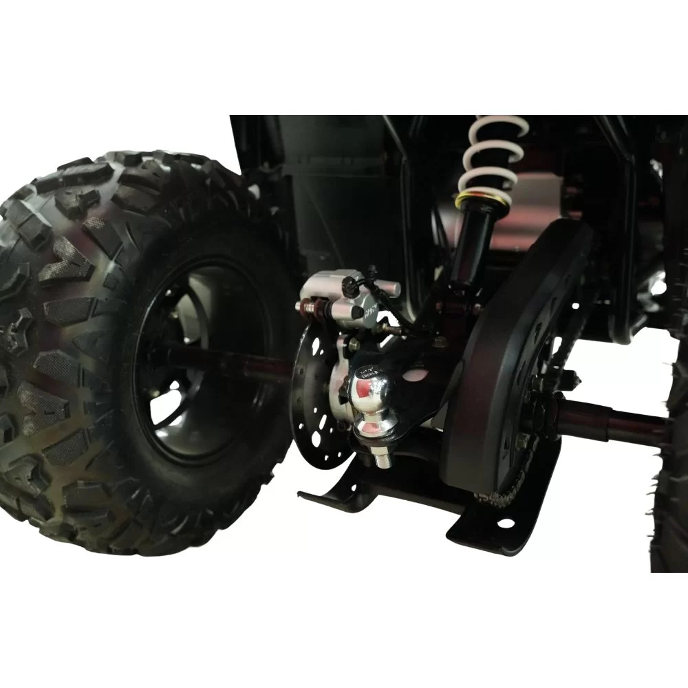 Купить квадроцикл MOTAX GRIZLIK T250 PRO Квадроцикл MOTAX GRIZLIK T250 PRO