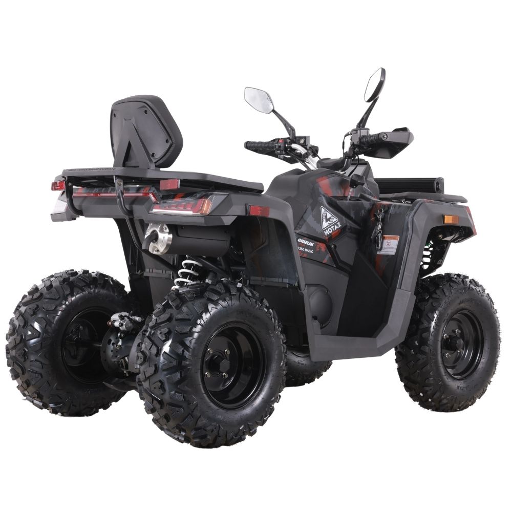 Купить квадроцикл MOTAX GRIZLIK T250 BASIC Квадроцикл MOTAX GRIZLIK T250 BASIC