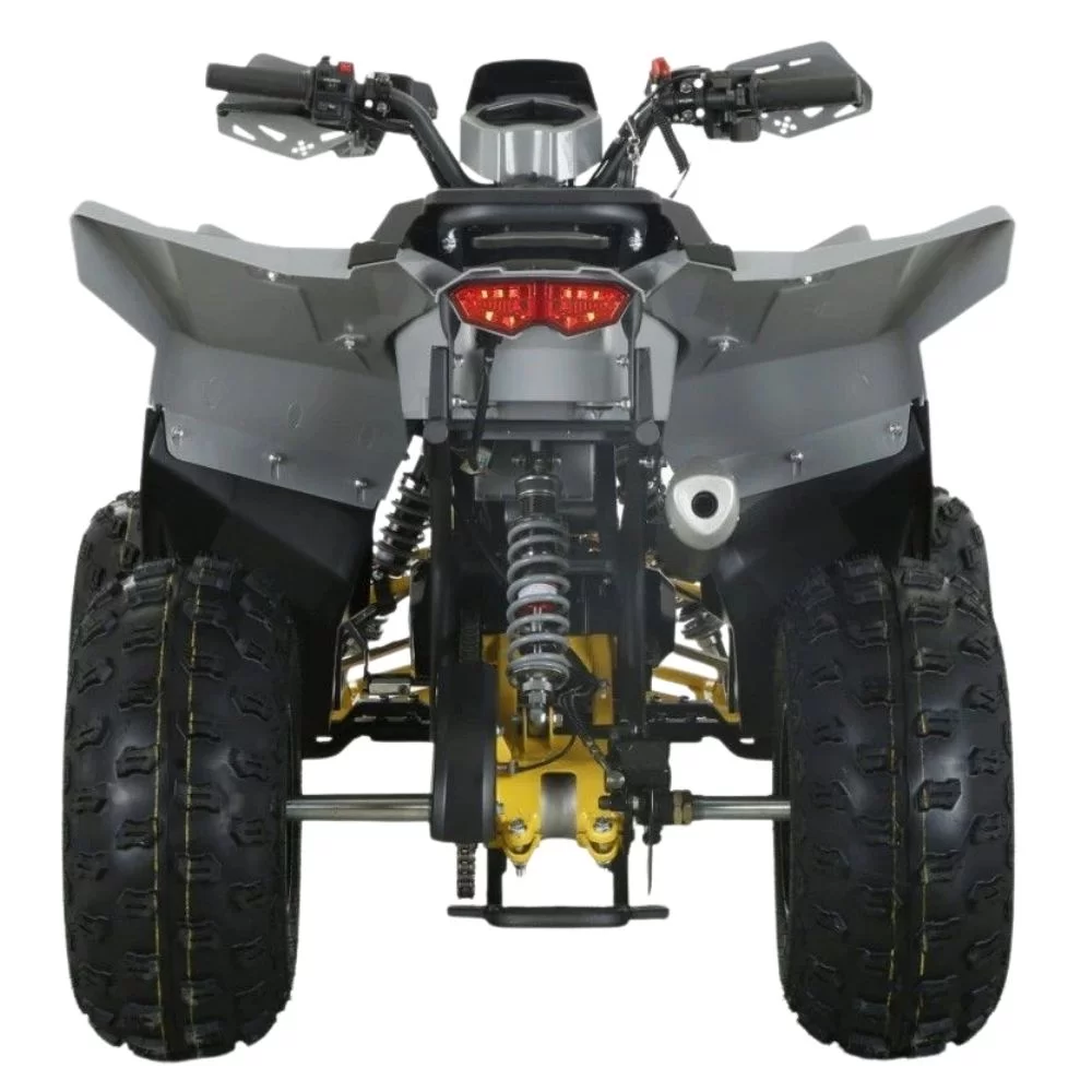 Квадроцикл бензиновый MOTAX GRIZLIK D125 RAPTOR LUX