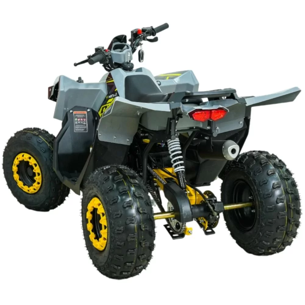 Купить квадроцикл бензиновый MOTAX GRIZLIK RAPTOR D125 Квадроцикл бензиновый MOTAX GRIZLIK RAPTOR D125
