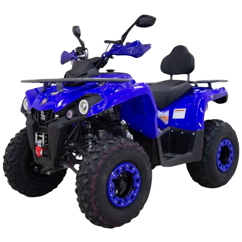 Купить квадроцикл бензиновый MOTAX GRIZLIK 200 Ultra Квадроцикл бензиновый MOTAX GRIZLIK 200 Ultra