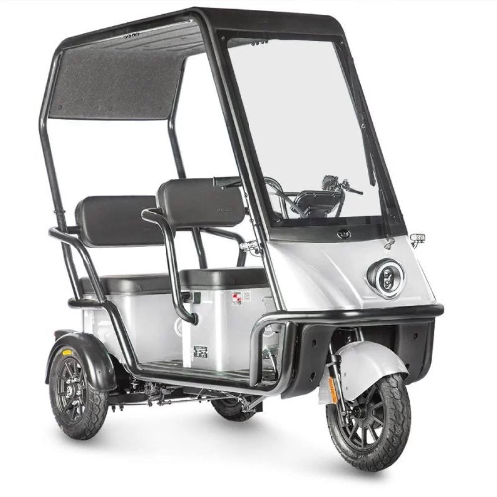 Электротрицикл Wanshida NIPLA 500 60V 1000Вт
