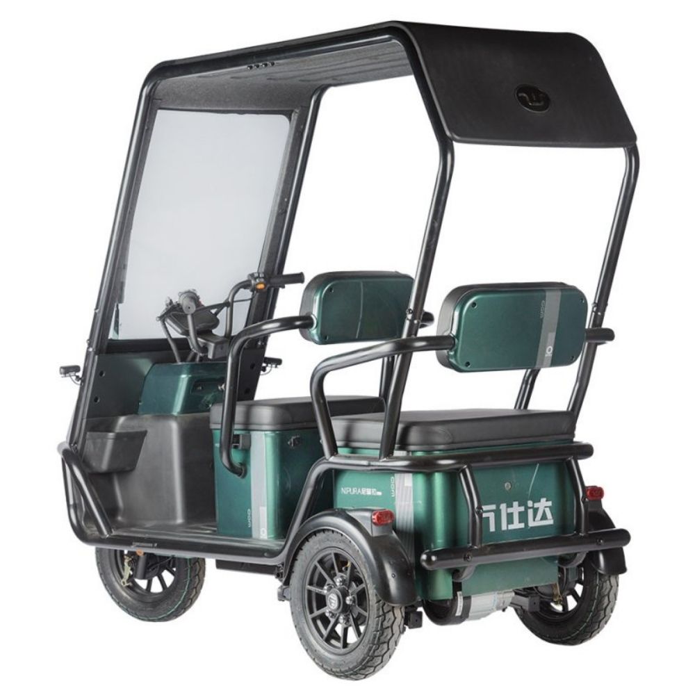 Электротрицикл Wanshida NIPLA 500 60V 1000Вт