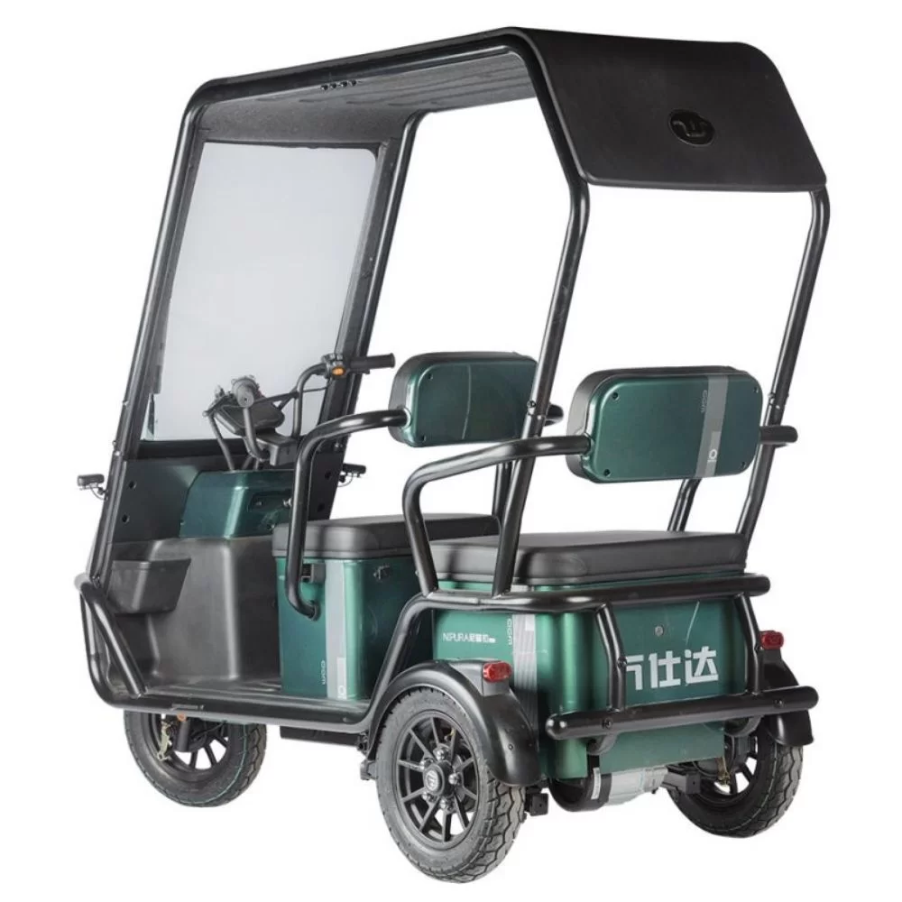 Электротрицикл Wanshida NIPLA 500 60V 1000Вт
