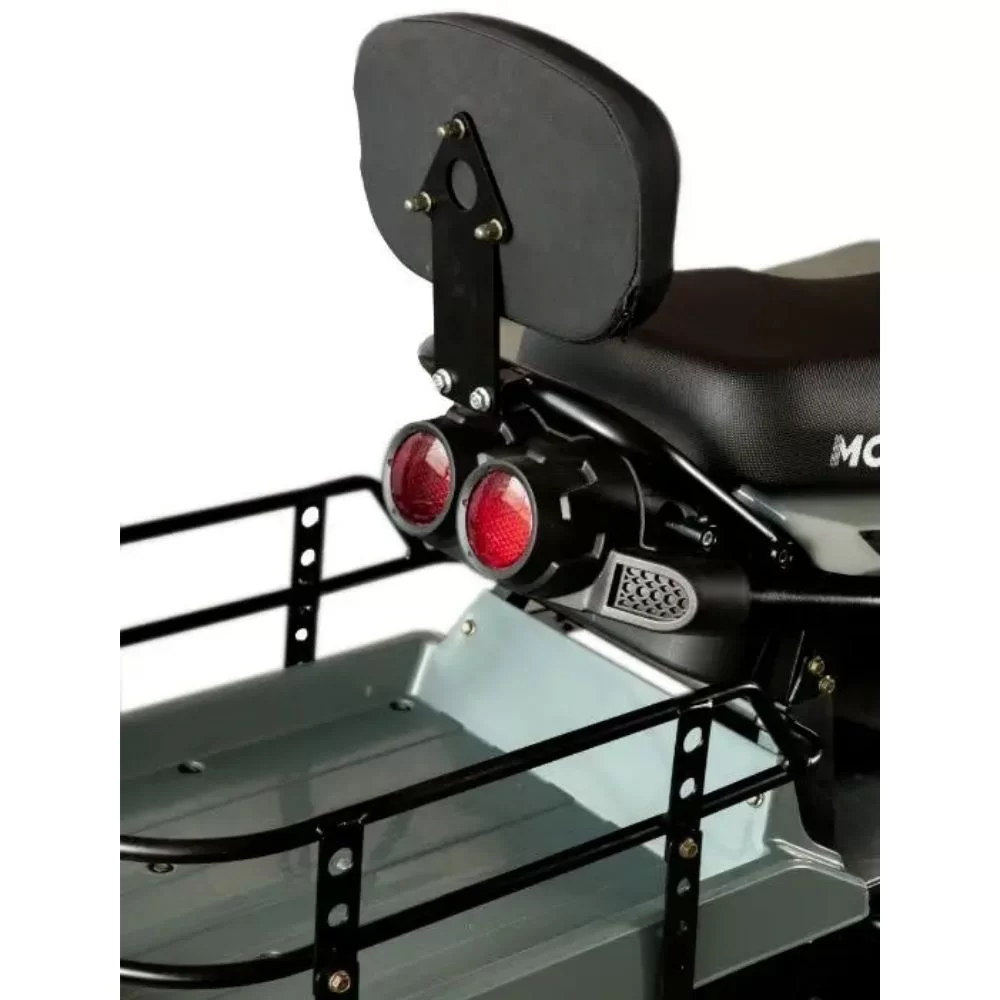 Купить снегоход MOTAX FREERIDE 250 EFI LONG Снегоход MOTAX FREERIDE 250 EFI LONG