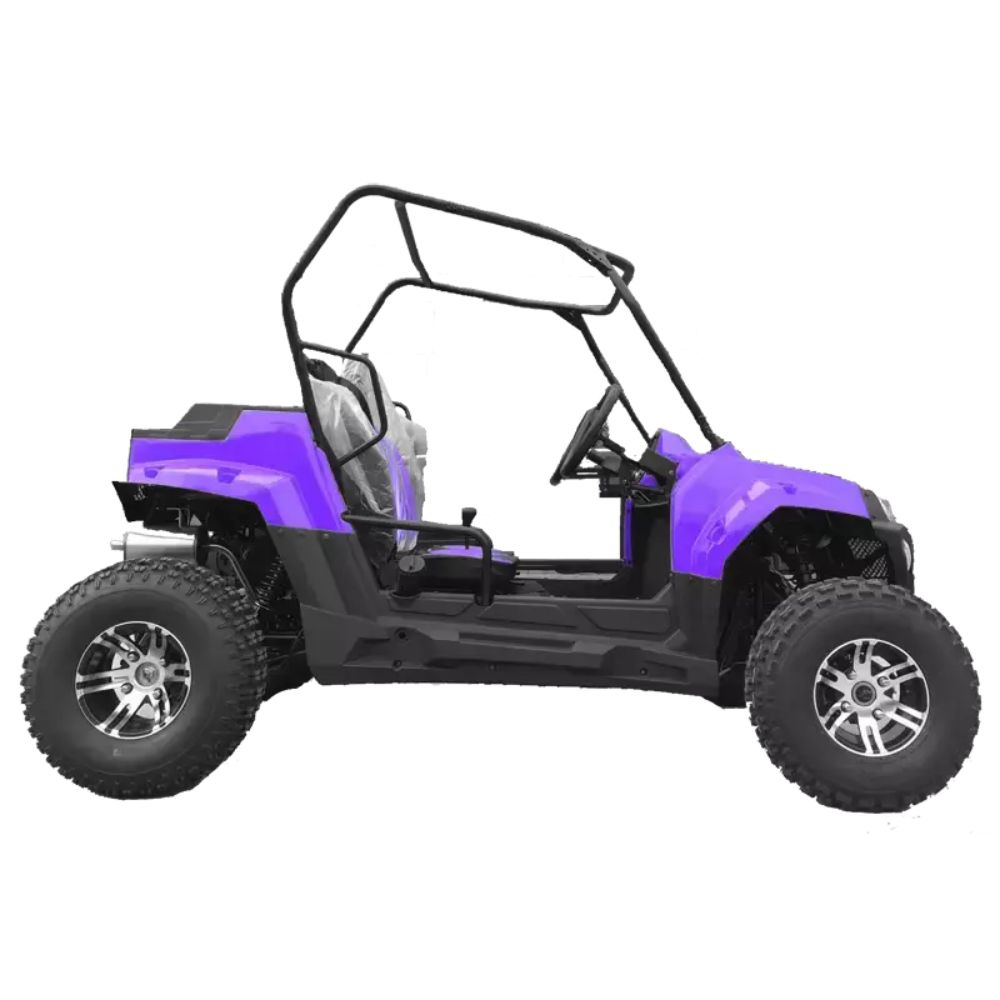 Купить багги HOOLEOX 300